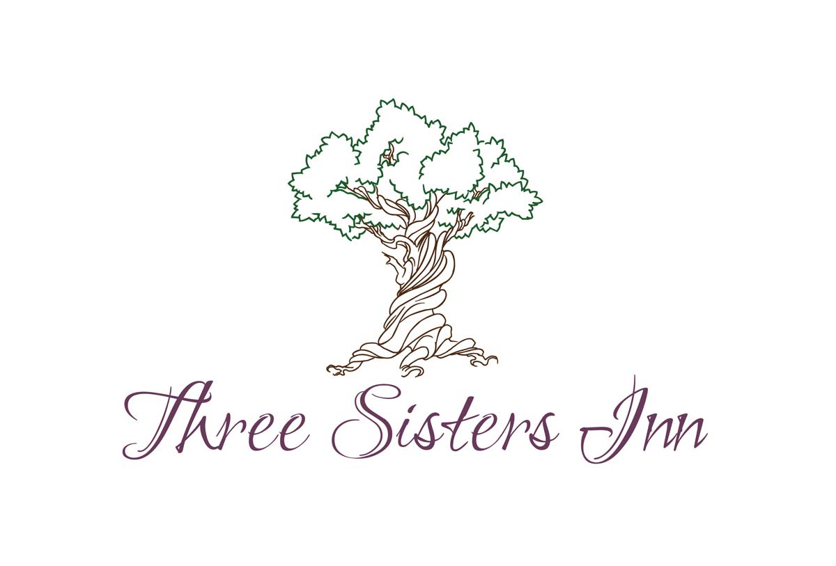 3sis